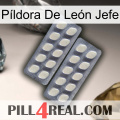 Píldora De León Jefe 07